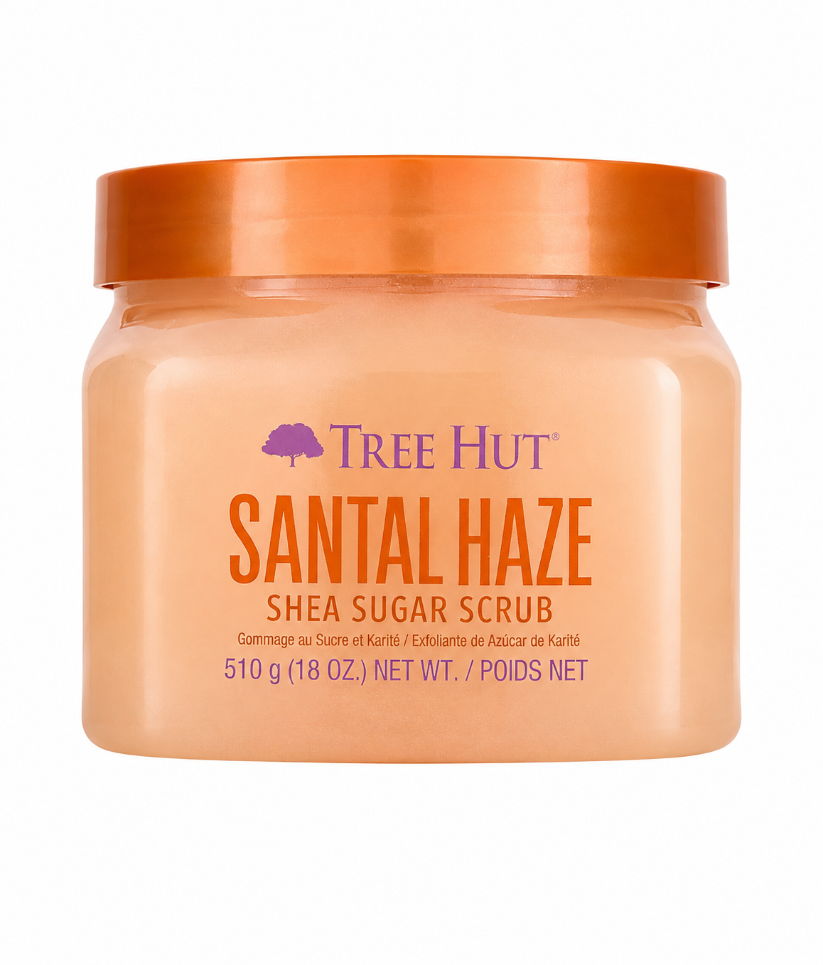 Santal Haze Shea Sugar Scrub - Tree Hut
